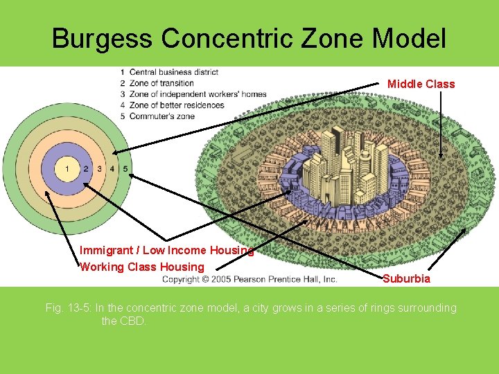 Burgess Concentric Zone Model Middle Class Immigrant / Low Income Housing Working Class Housing