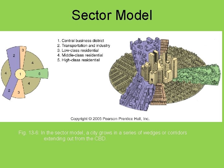 Sector Model Fig. 13 -6: In the sector model, a city grows in a