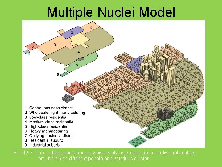 Multiple Nuclei Model Fig. 13 -7: The multiple nuclei model views a city as