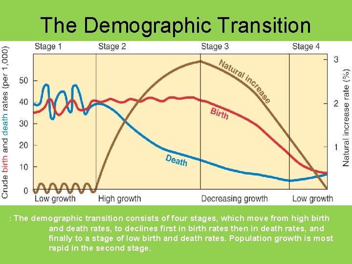 The Demographic Transition : The demographic transition consists of four stages, which move from