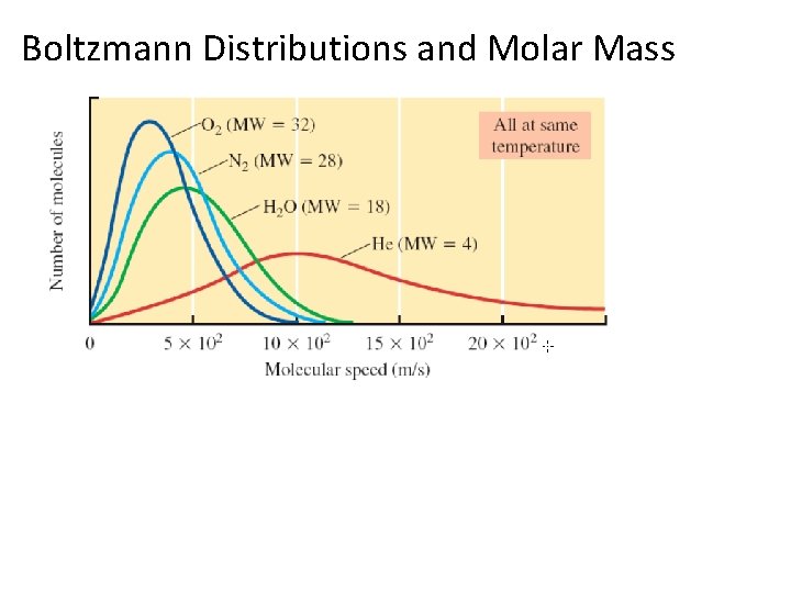 Boltzmann Distributions and Molar Mass 