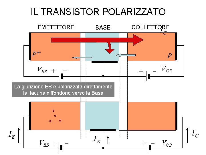 IL TRANSISTOR POLARIZZATO EMETTITORE p+ VEB + BASE COLLETTORE IC p n _ + IL TRANSISTOR POLARIZZATO EMETTITORE p+ VEB + BASE COLLETTORE IC p n _ +