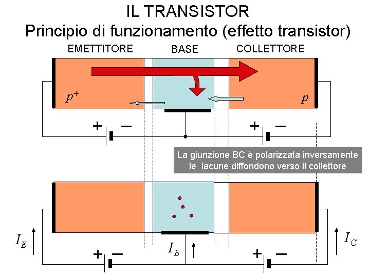 IL TRANSISTOR Principio di funzionamento (effetto transistor) EMETTITORE p+ BASE COLLETTORE p n + IL TRANSISTOR Principio di funzionamento (effetto transistor) EMETTITORE p+ BASE COLLETTORE p n +