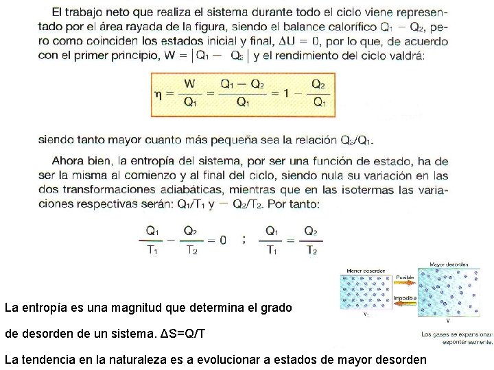 La entropía es una magnitud que determina el grado de desorden de un sistema.