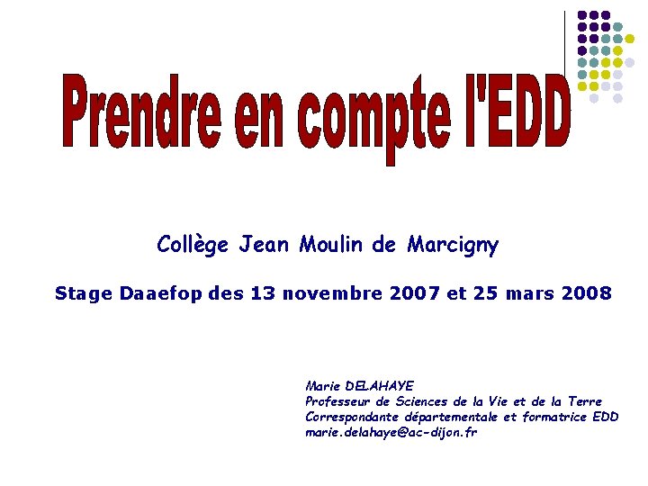 Collège Jean Moulin de Marcigny Stage Daaefop des 13 novembre 2007 et 25 mars