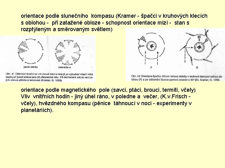 orientace podle slunečního kompasu (Kramer - špačci v kruhových klecích s oblohou - při