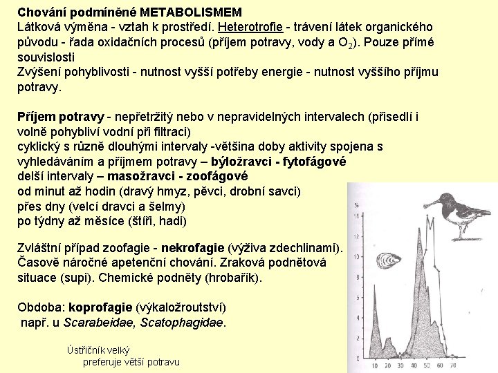 Chování podmíněné METABOLISMEM Látková výměna - vztah k prostředí. Heterotrofie - trávení látek organického