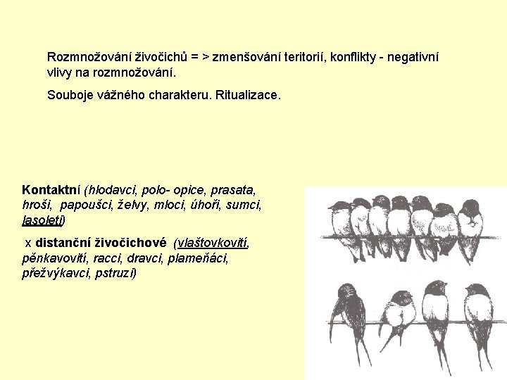 Rozmnožování živočichů = > zmenšování teritorií, konflikty - negativní vlivy na rozmnožování. Souboje vážného