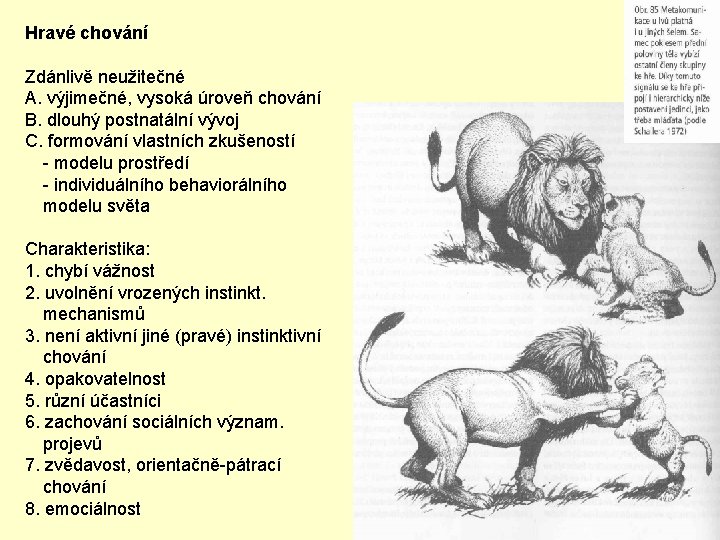 Hravé chování Zdánlivě neužitečné A. výjimečné, vysoká úroveň chování B. dlouhý postnatální vývoj C.