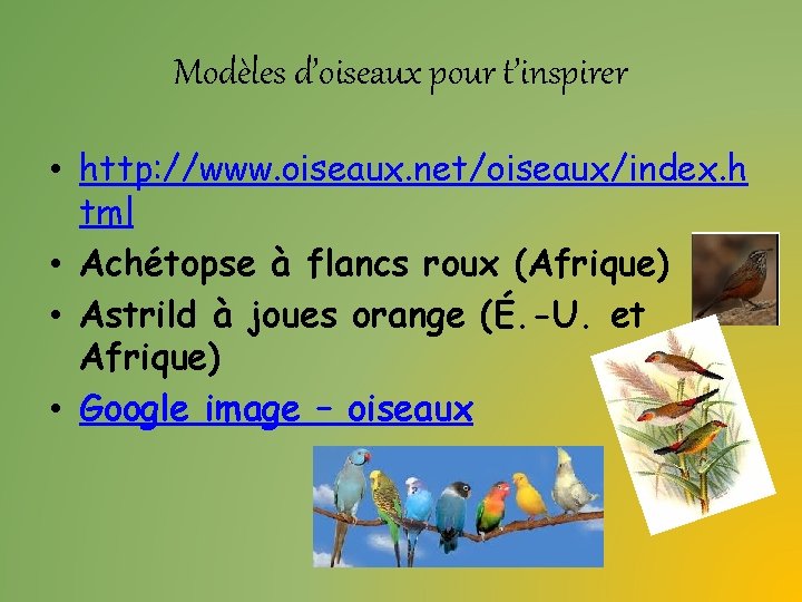 Modèles d’oiseaux pour t’inspirer • http: //www. oiseaux. net/oiseaux/index. h tml • Achétopse à