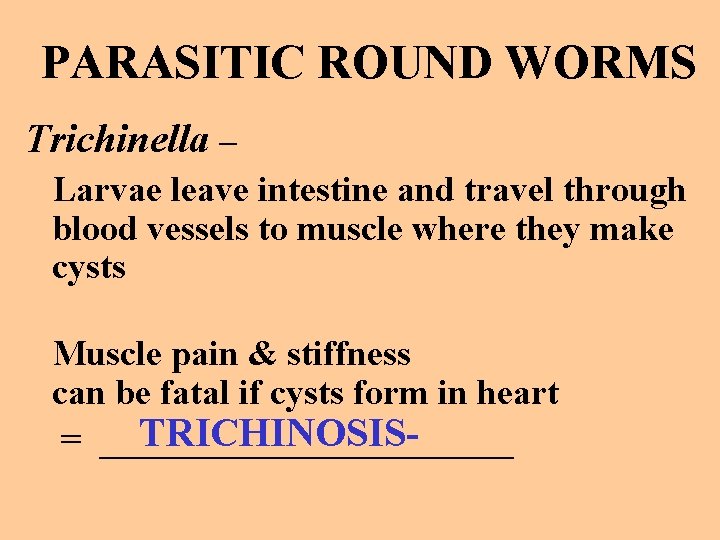 PARASITIC ROUND WORMS Trichinella – Larvae leave intestine and travel through blood vessels to