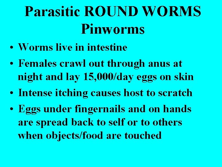 Parasitic ROUND WORMS Pinworms • Worms live in intestine • Females crawl out through