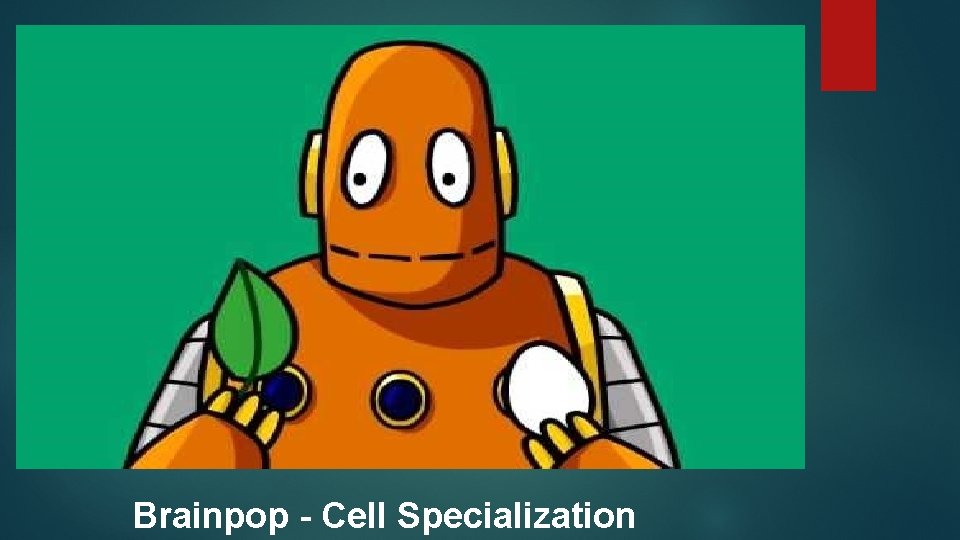 Brainpop - Cell Specialization 