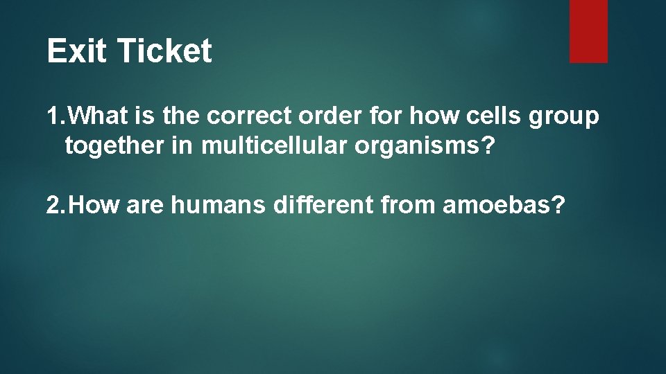 Exit Ticket 1. What is the correct order for how cells group together in