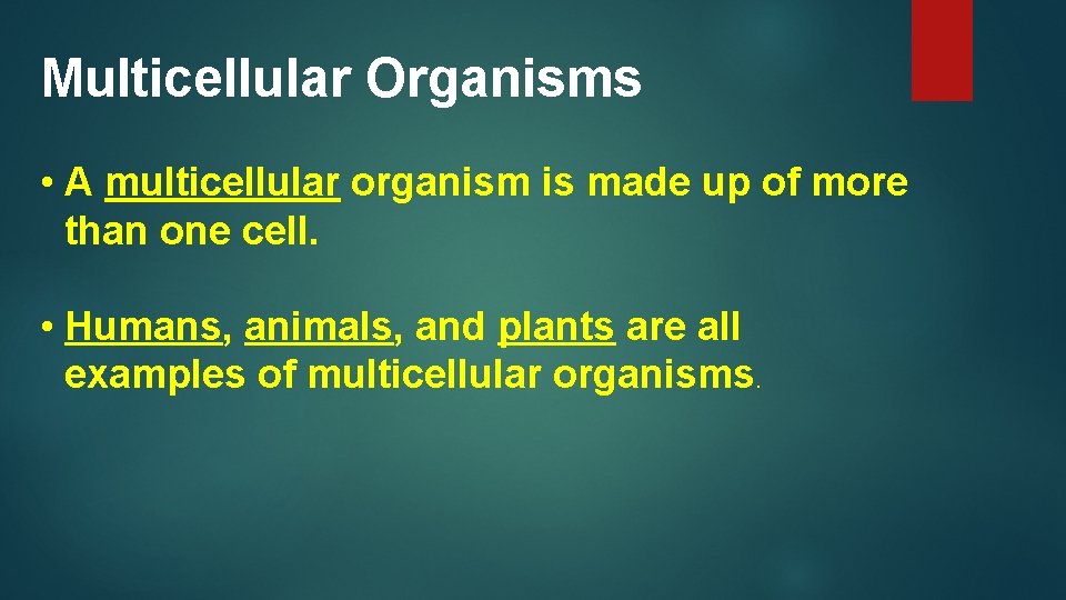 Multicellular Organisms • A multicellular organism is made up of more than one cell.