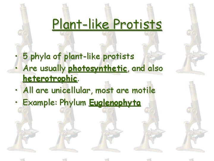 Plant-like Protists • 5 phyla of plant-like protists • Are usually photosynthetic, and also