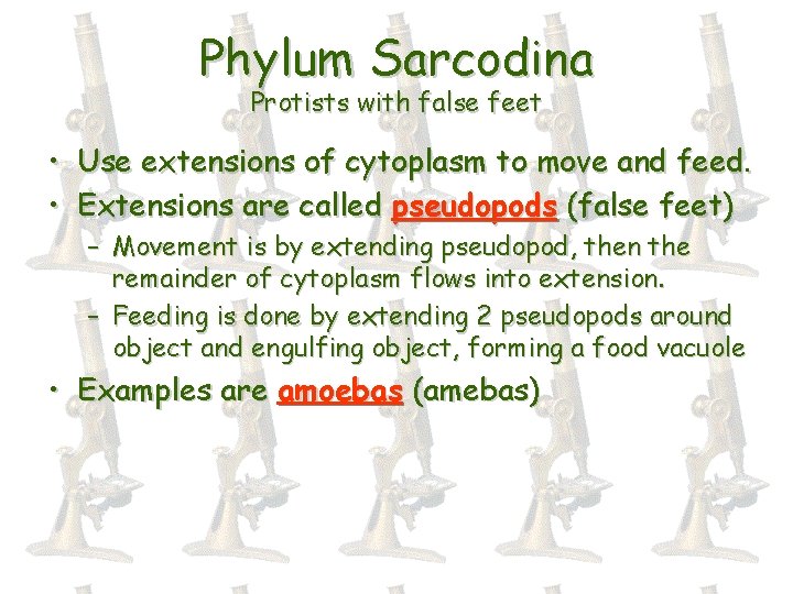 Phylum Sarcodina Protists with false feet • Use extensions of cytoplasm to move and