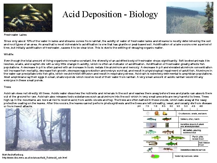 Acid Deposition - Biology Freshwater Lakes Since only about 10% of the water in