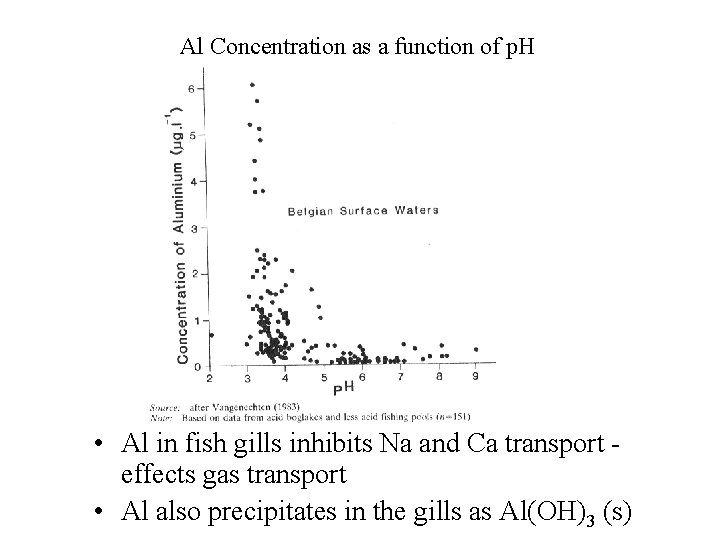 Al Concentration as a function of p. H • Al in fish gills inhibits