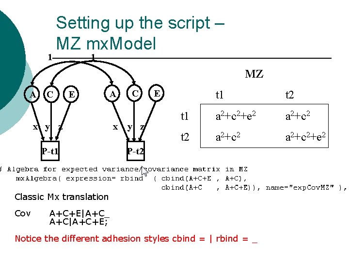 1 Setting up the script – MZ mx. Model 1 MZ A C E