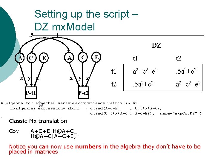 . 5 Setting up the script – DZ mx. Model 1 DZ A C