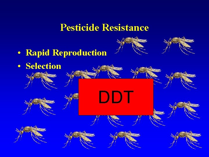 Pesticide Resistance • Rapid Reproduction • Selection DDT 