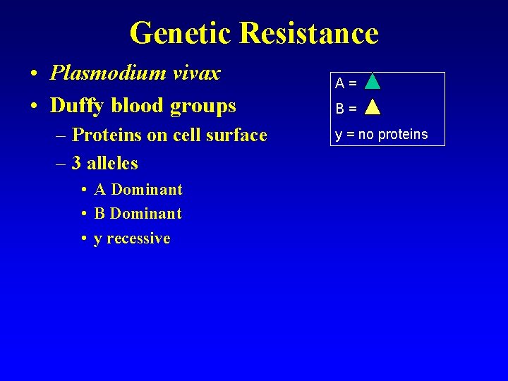 Genetic Resistance • Plasmodium vivax • Duffy blood groups – Proteins on cell surface