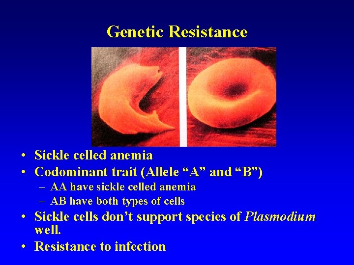 Genetic Resistance • Sickle celled anemia • Codominant trait (Allele “A” and “B”) –