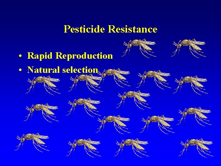 Pesticide Resistance • Rapid Reproduction • Natural selection 