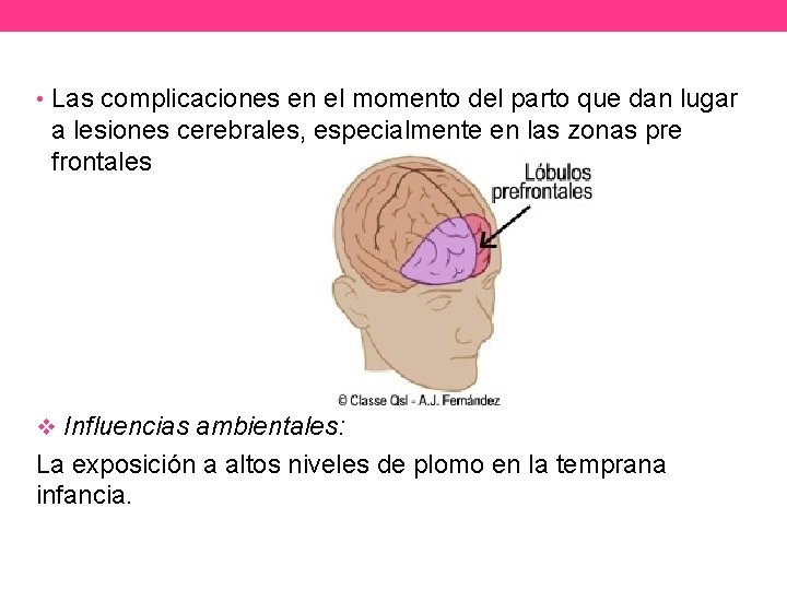  • Las complicaciones en el momento del parto que dan lugar a lesiones