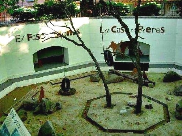 la casa de fieras del retiro El foso de monos es uno de los