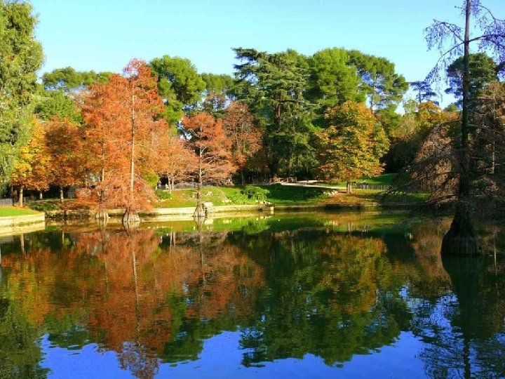 A la vera del Palacio de Cristal se abren paso, entre una exuberante vegetación,