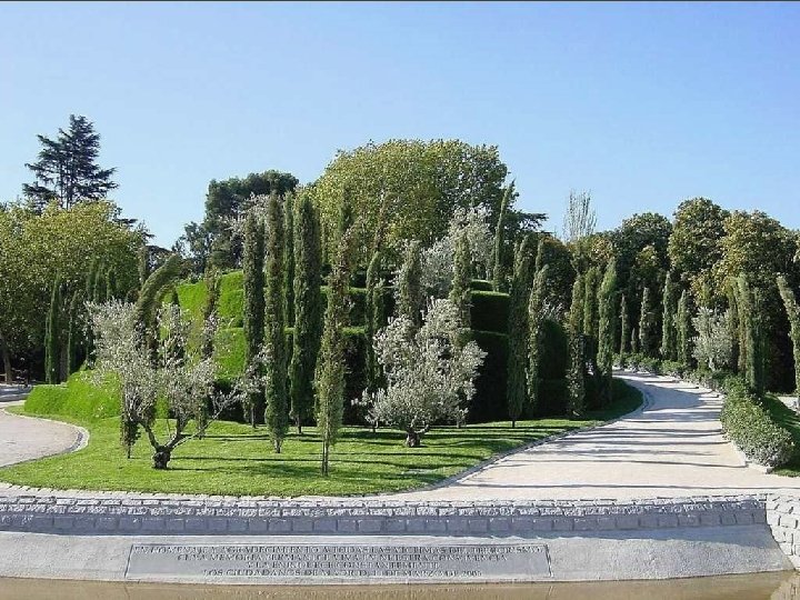 EL BOSQUE DE LOS AUSENTES La última gran reforma forestal que ha sufrido el