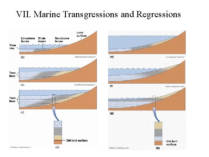 VII. Marine Transgressions and Regressions 