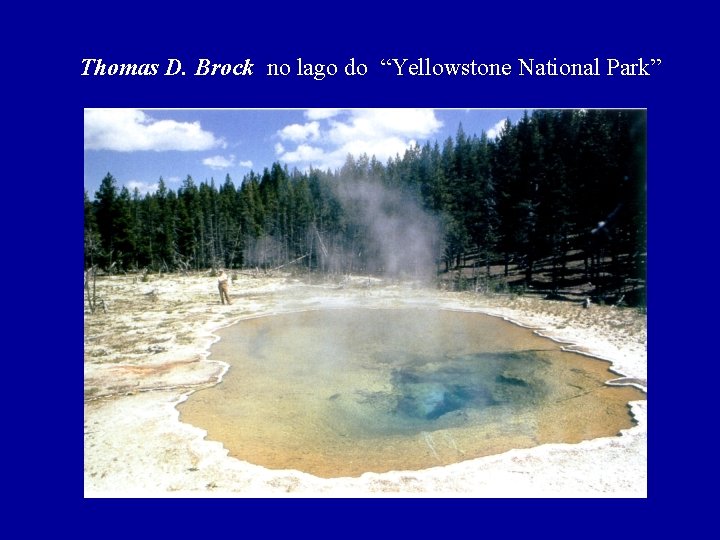 Thomas D. Brock no lago do “Yellowstone National Park” 