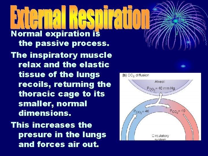 Normal expiration is the passive process. The inspiratory muscle relax and the elastic tissue