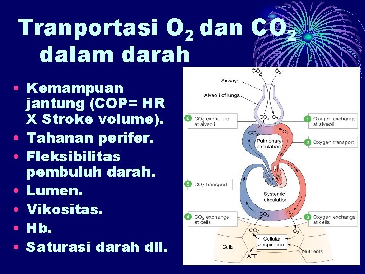 Tranportasi O 2 dan CO 2 dalam darah • Kemampuan jantung (COP= HR X