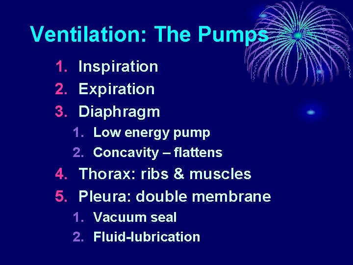 Ventilation: The Pumps 1. Inspiration 2. Expiration 3. Diaphragm 1. Low energy pump 2.