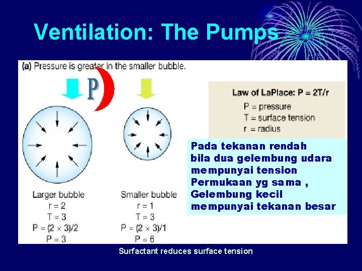 Ventilation: The Pumps Pada tekanan rendah bila dua gelembung udara mempunyai tension Permukaan yg