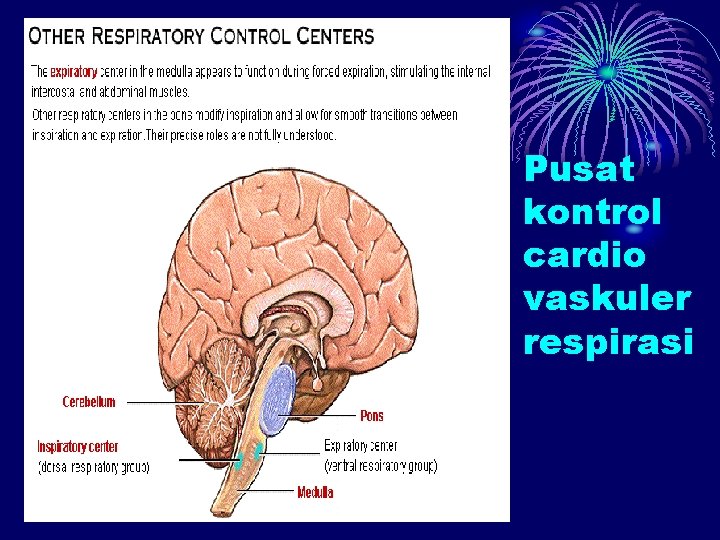 Pusat kontrol cardio vaskuler respirasi 