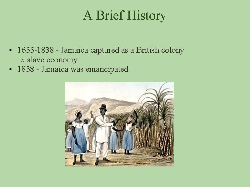A Brief History • 1655 -1838 - Jamaica captured as a British colony o