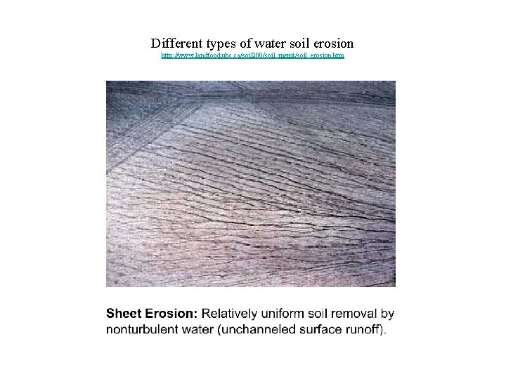 Different types of water soil erosion http: //www. landfood. ubc. ca/soil 200/soil_mgmt/soil_erosion. htm 