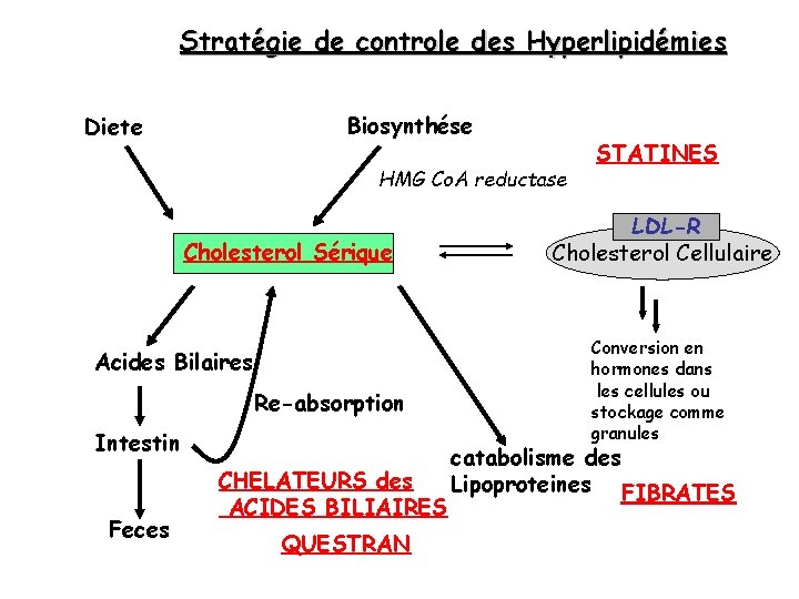 Stratégie de controle des Hyperlipidémies Biosynthése Diete HMG Co. A reductase Cholesterol Sérique Acides