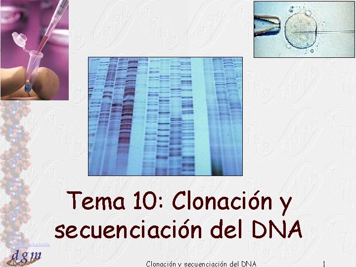Dr. Antonio Barbadilla Tema 10: Clonación y secuenciación del DNA 1 