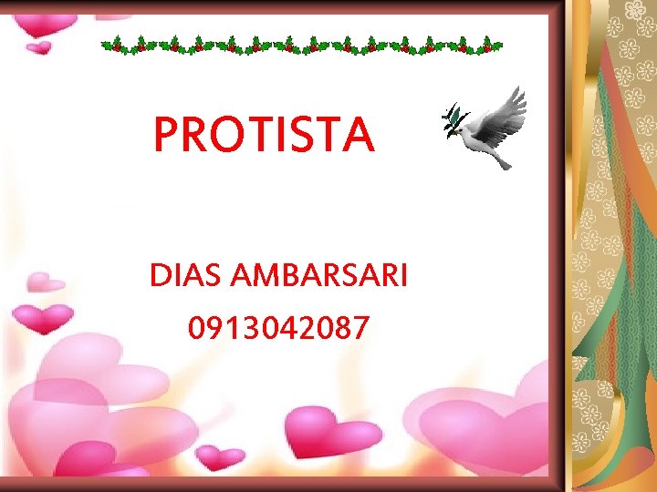 PROTISTA DIAS AMBARSARI 0913042087 