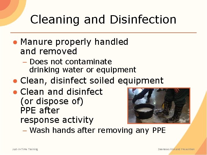 Cleaning and Disinfection ● Manure properly handled and removed – Does not contaminate drinking