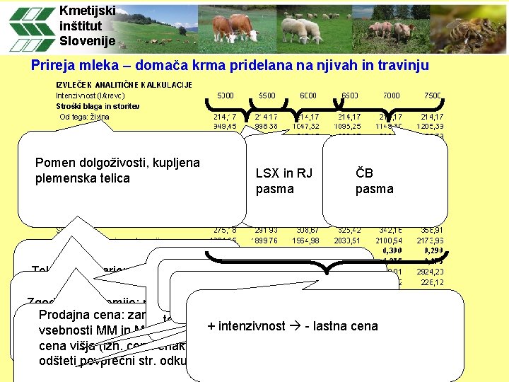 Kmetijski inštitut Slovenije Prireja mleka – domača krma pridelana na njivah in travinju Pomen