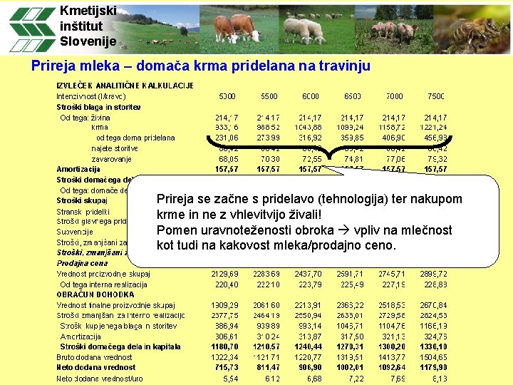 Kmetijski inštitut Slovenije Prireja mleka – domača krma pridelana na travinju Prireja se začne