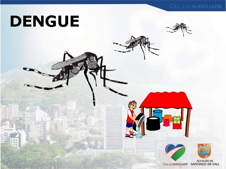DENGUE 