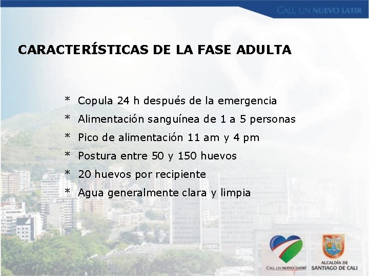 CARACTERÍSTICAS DE LA FASE ADULTA * Copula 24 h después de la emergencia *